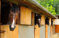 free Belcoo stable construction quotes